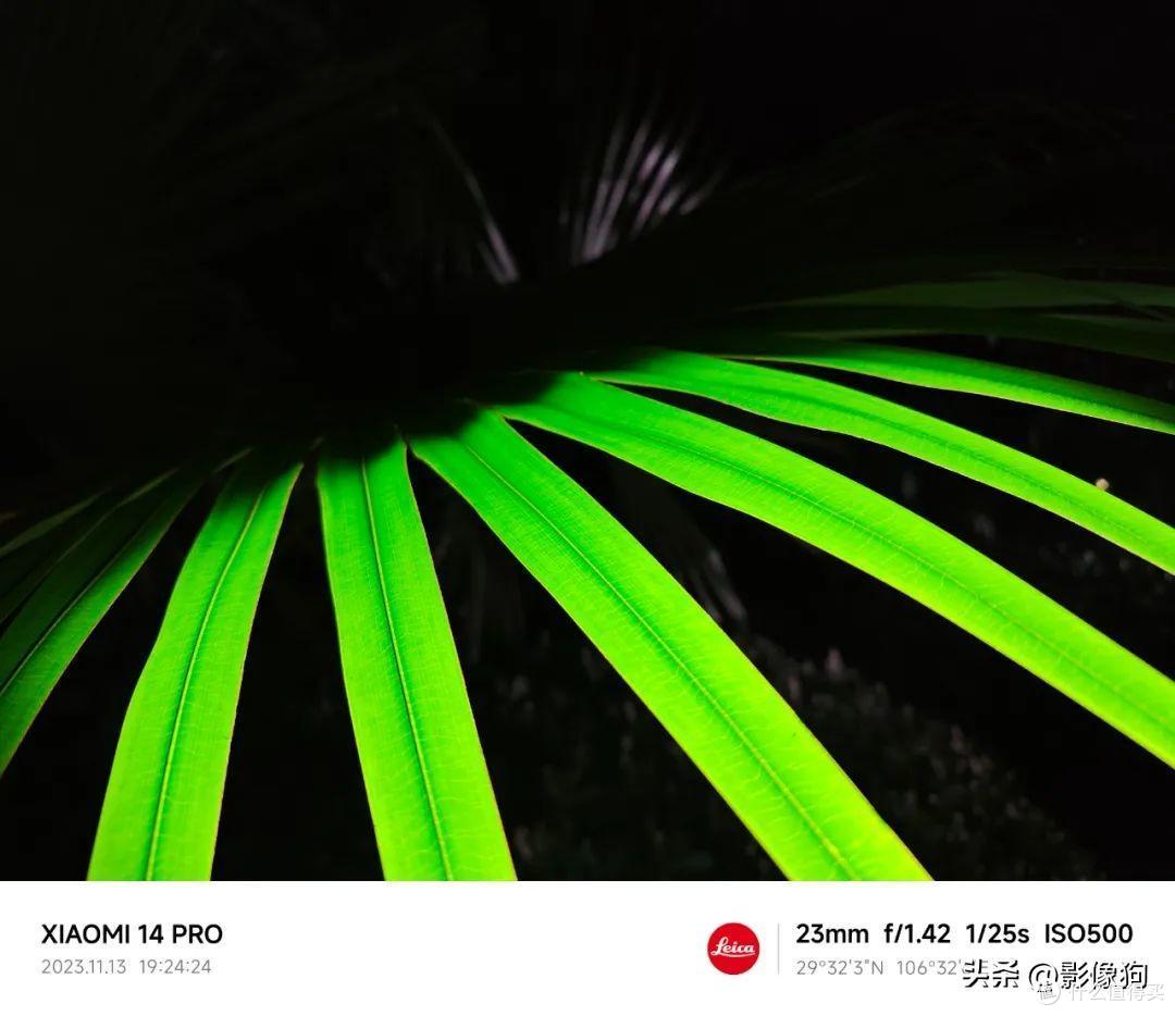 徕卡影像加持的水桶旗舰机小米14pro影像测评