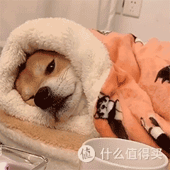 电热毯安全吗？电热毯有哪几种类型，各有什么优缺点？电热毯应该怎么选？附三款高品质电热毯推荐！