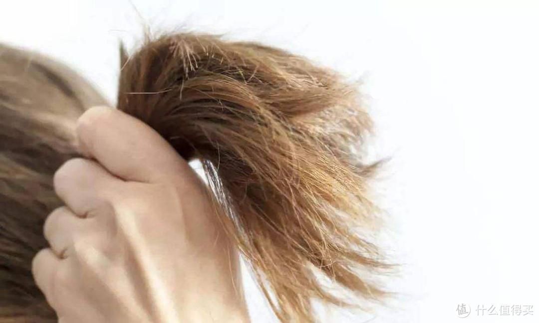 头发分叉怎么修复?13大方法帮你搞定分叉!