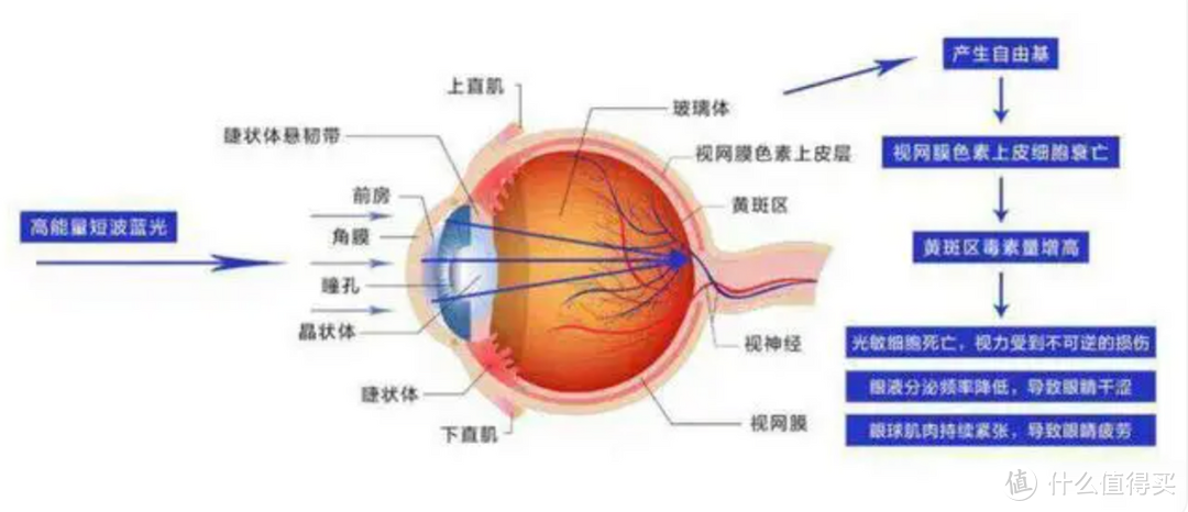 激光投影将是未来？有哪些值得购买的激光家用投影仪产品