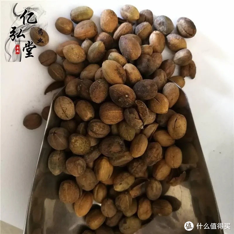 巴豆的功效