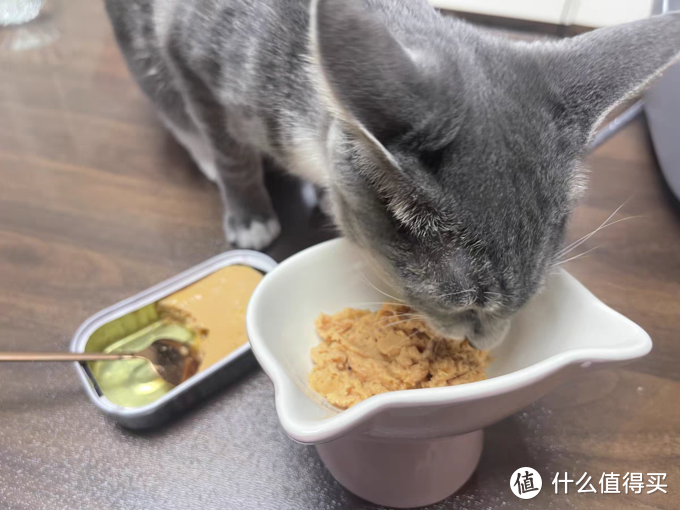 「猫零食」之谜：是美味奖励还是健康问题？