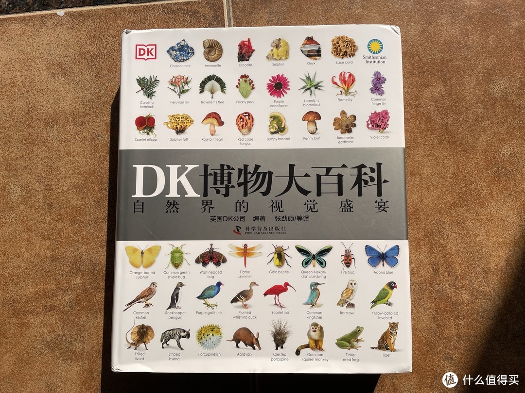 双十一我给孩子买了DK百科