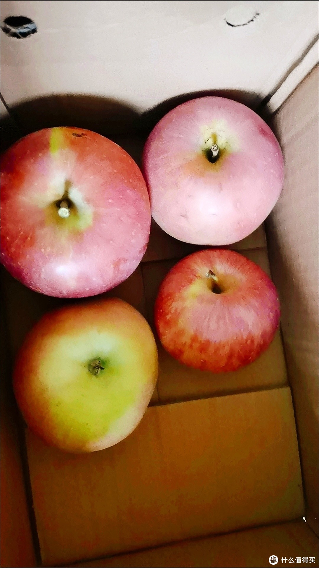 陕西红富士苹果：冰糖心之甜，季节之礼