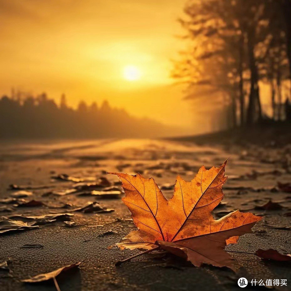 每一片飘落的叶子，是秋天给我们留下了最美的回忆和不舍的告别