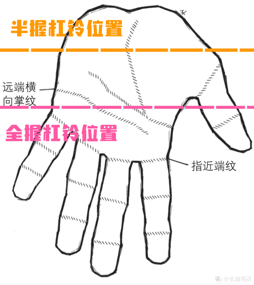 杠铃平板卧推半握和全握有什么区别？