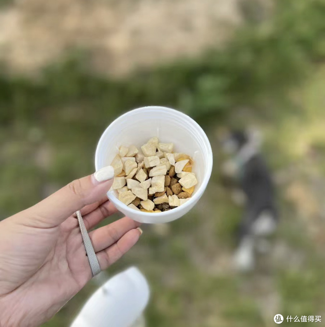 带小狗出门还要带饮水杯哦