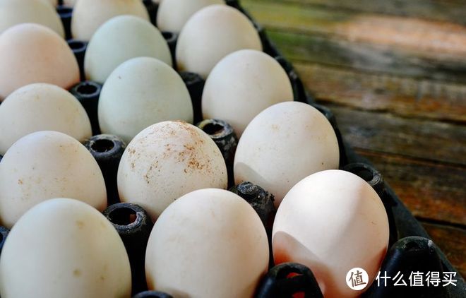 变蛋是什么蛋做的？