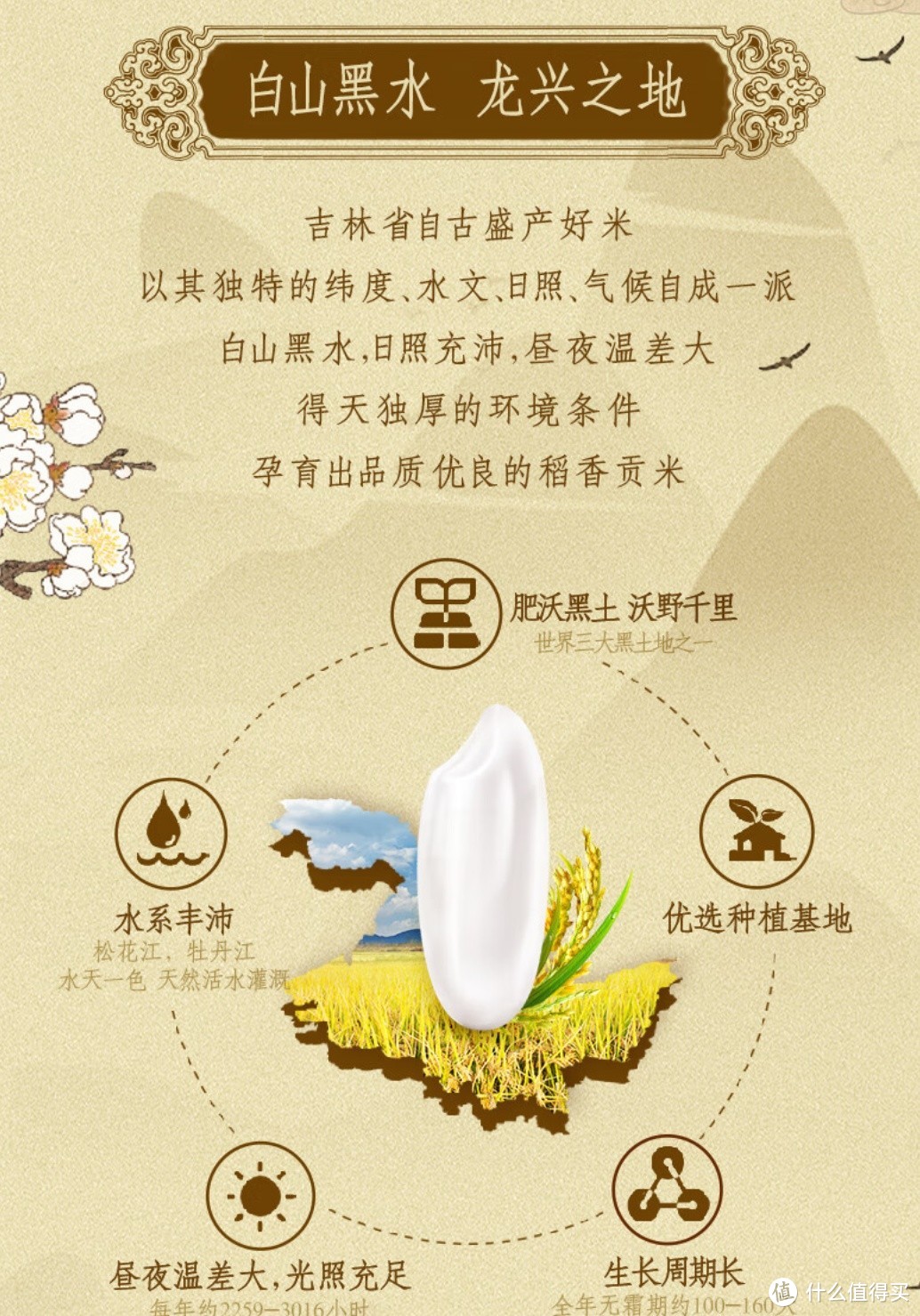 双十一的爆款大米，乳玉皇妃，你买了吗