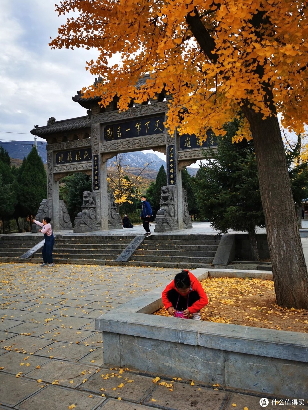初冬的少林寺，千年银杏美哭了，你确定不来吗？