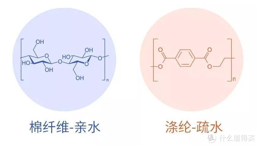 棉纤维的亲水性比涤纶好得多