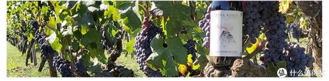 双十一过后品尝双十一的战果-乔瓦尼酒庄埃特纳干红葡萄酒2018