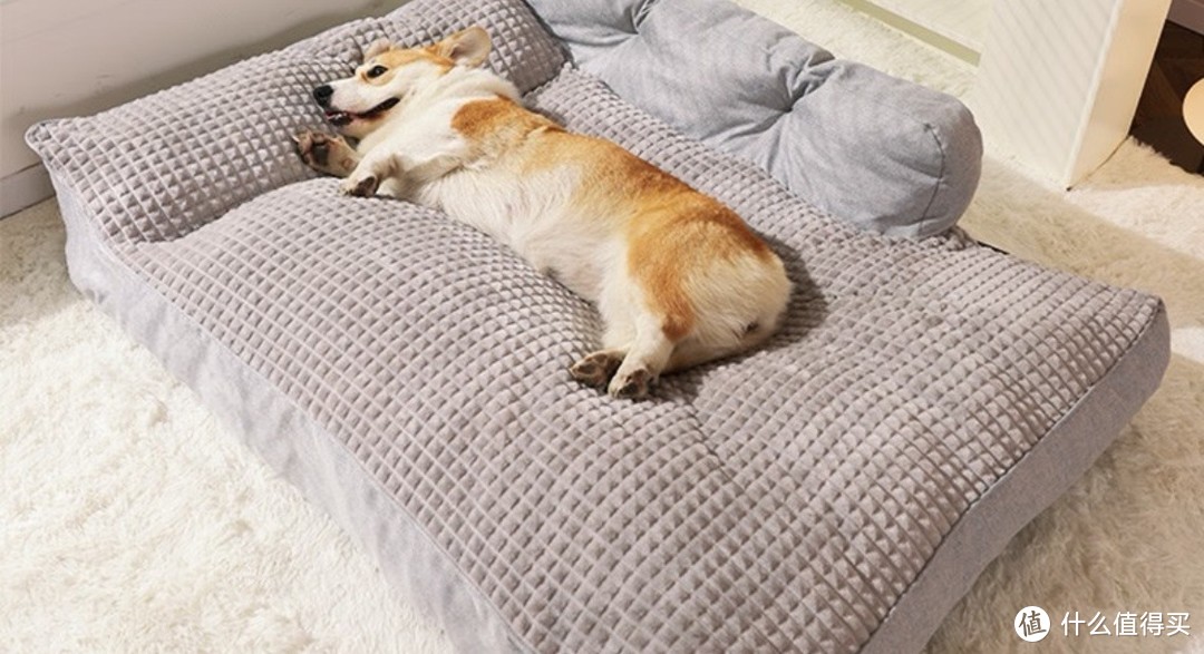 让你的狗狗也想赖床的好物