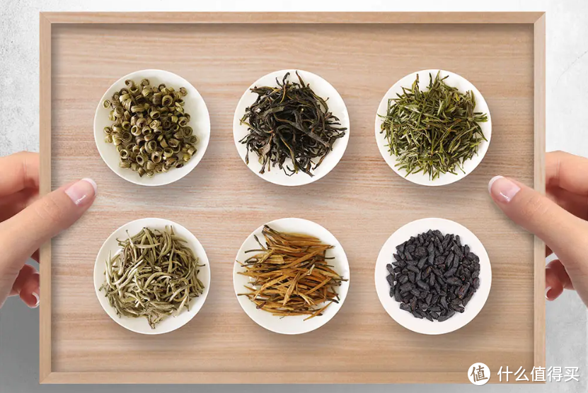 四川茶博会专题 茶的起源：一片叶子的历史之旅