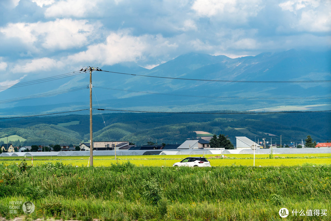 北海道的夏天：23年8月初的北海道照片记录
