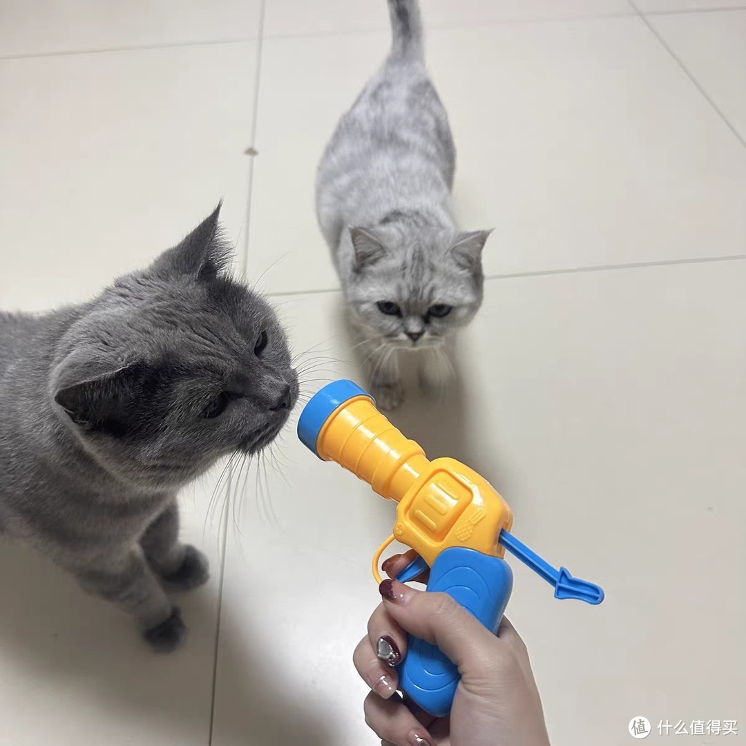 猫咪玩具