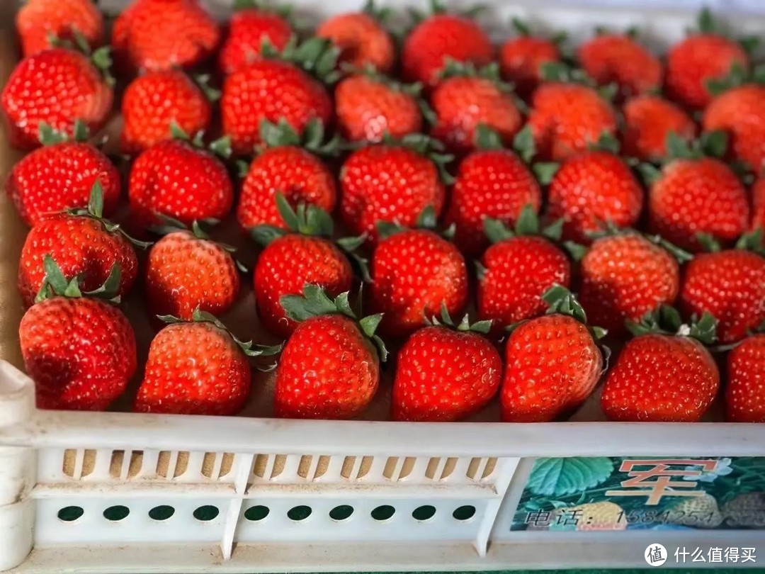 草莓营养价值高，但这几种人不宜多吃