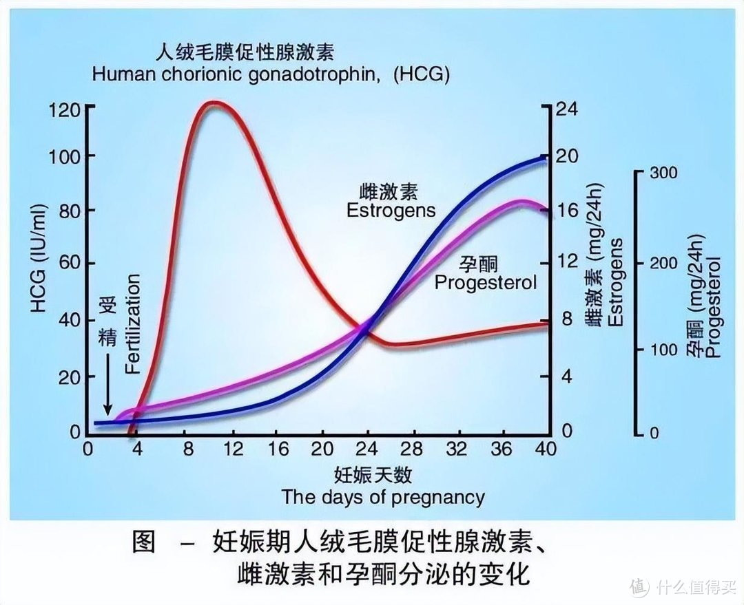 怀孕初期有什么症状？别总盯着孕吐，吐得再厉害也不是怀孕的标配