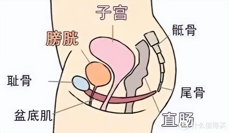 怀孕初期有什么症状？别总盯着孕吐，吐得再厉害也不是怀孕的标配