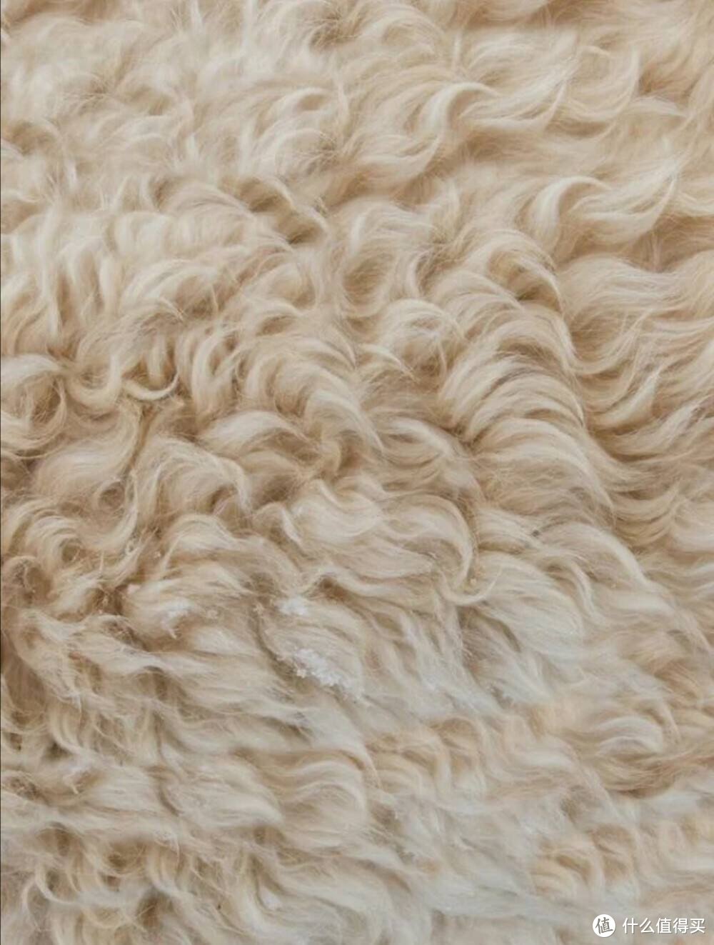羊毛：时尚又舒适的冬季保暖之选