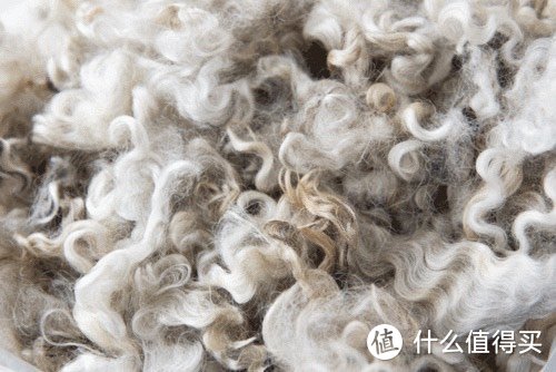 羊毛：时尚又舒适的冬季保暖之选