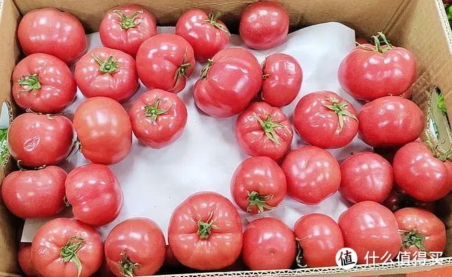 番茄和西红柿有什么区别，别搞错了，闹笑话！