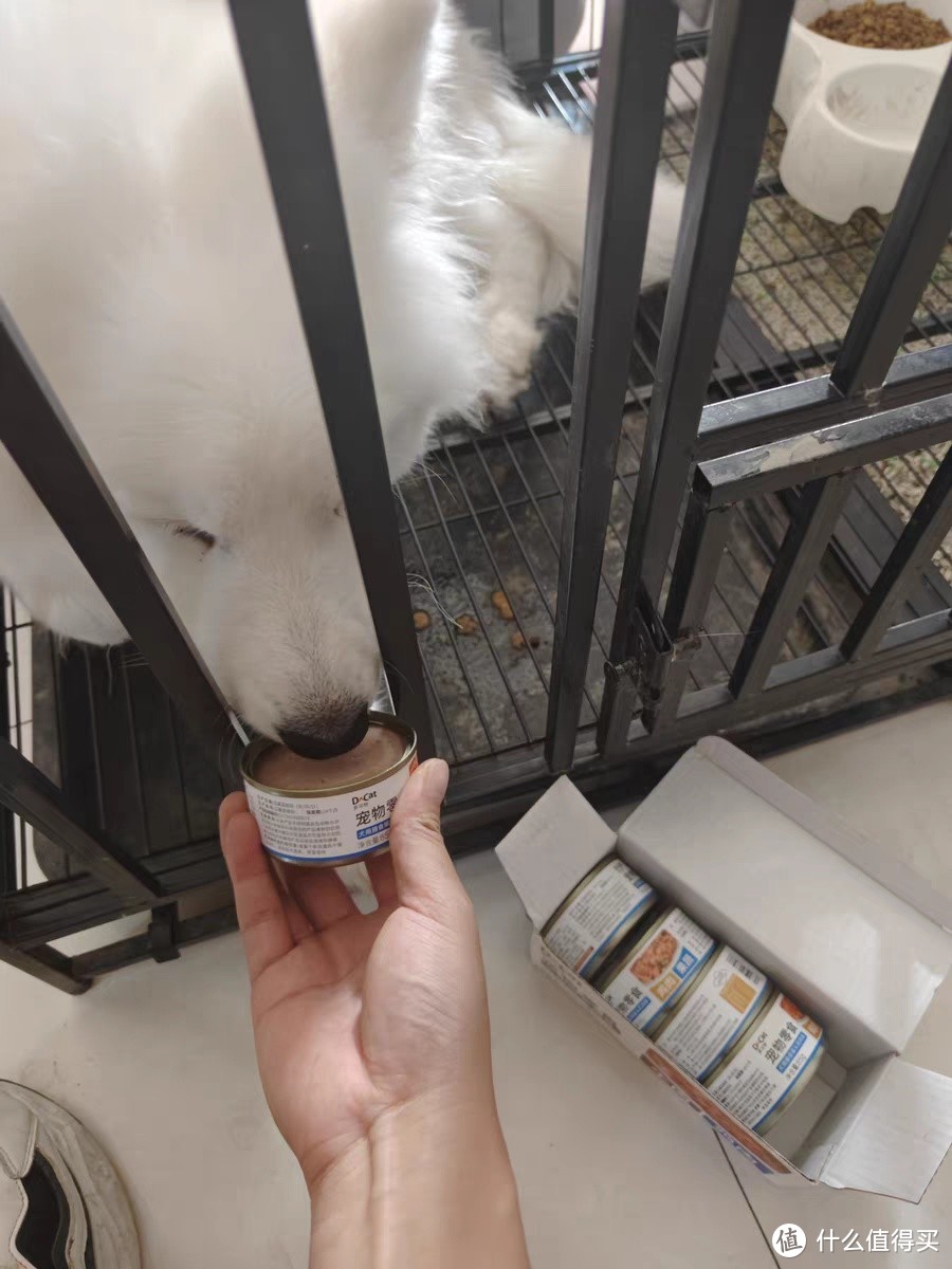 多可特狗狗罐头是一款专为宠物狗设计的湿粮伴侣