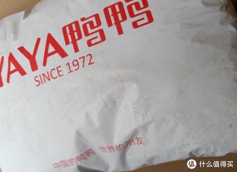 我的秋冬衣橱之鸭鸭（YAYA）羽绒服男