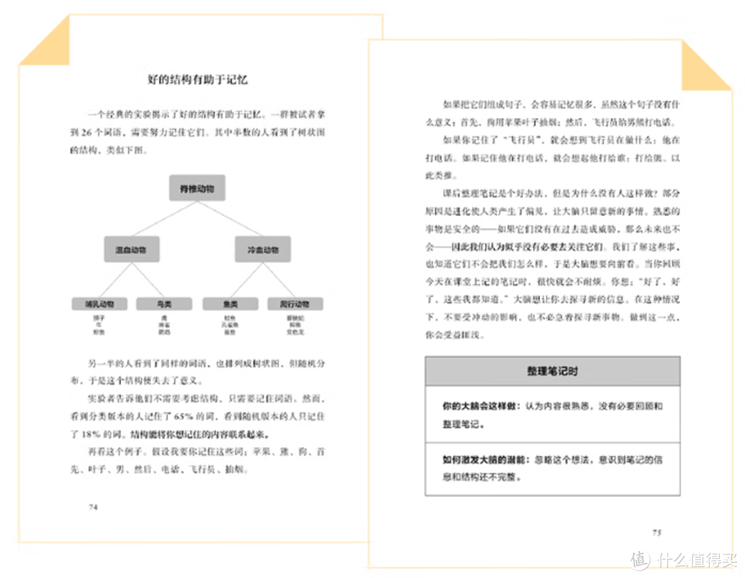 一本“大脑”使用指南！开发大脑潜能，让学习变得更简单～