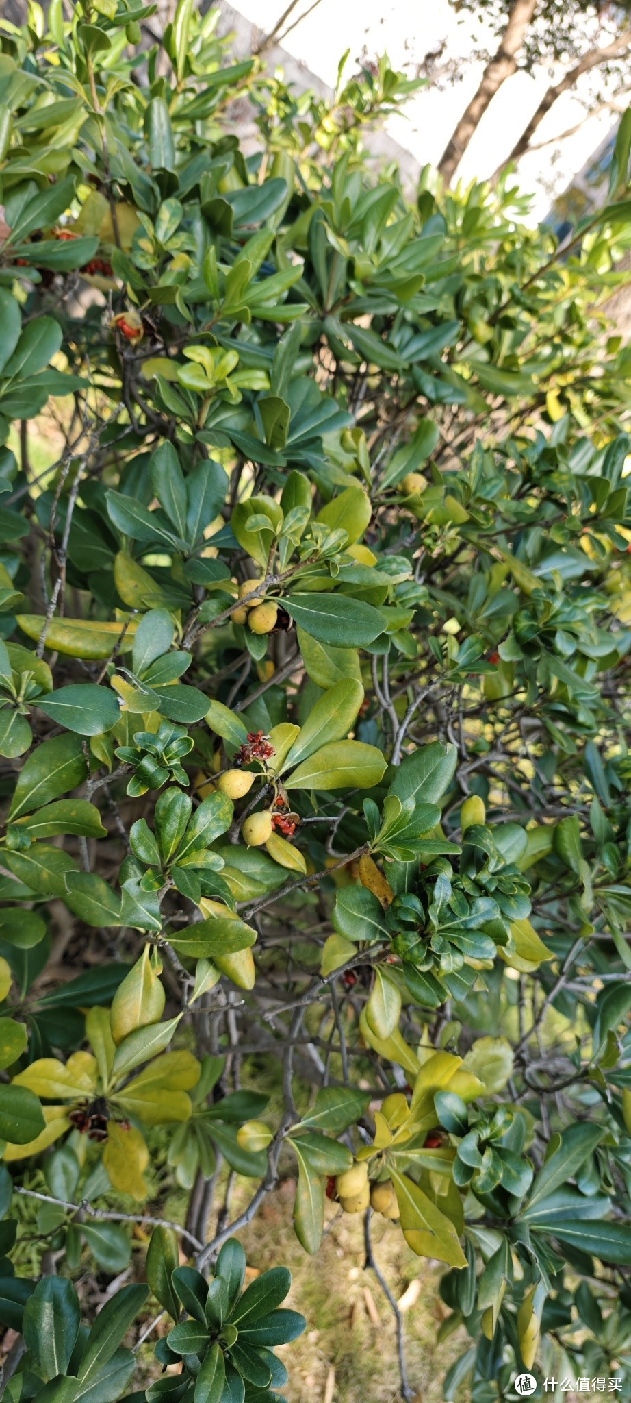 宁波东钱湖康得思酒店豪华湖景大床房/隐藏在大山里面的，湖边的庭院式四合院式的酒店住房