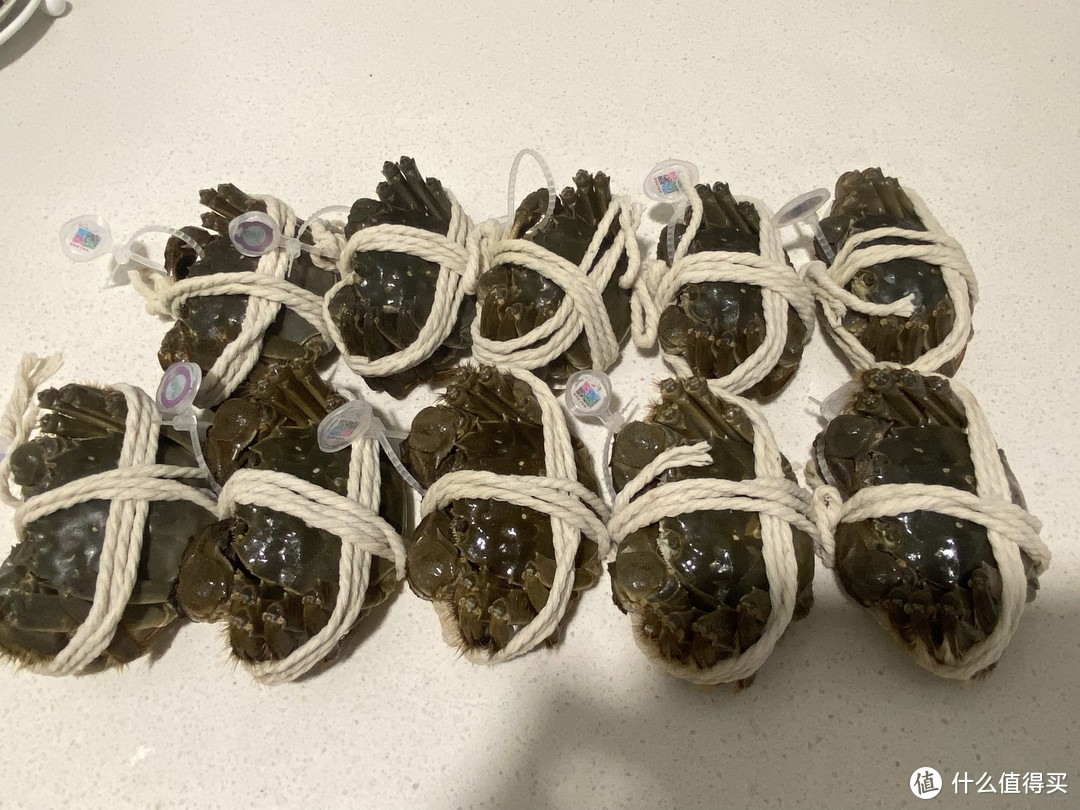 阳澄湖大闸蟹：正宗产地，新鲜送达，让你的味蕾一次满足！