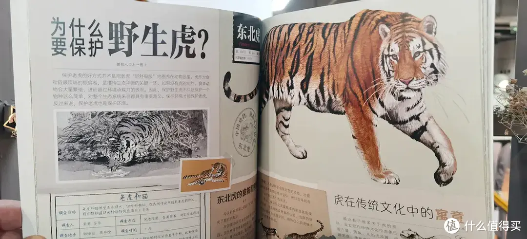 新书推荐——《中国动物很高兴认识你》