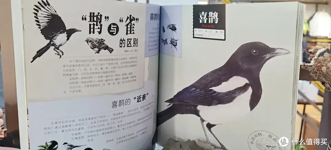 新书推荐——《中国动物很高兴认识你》