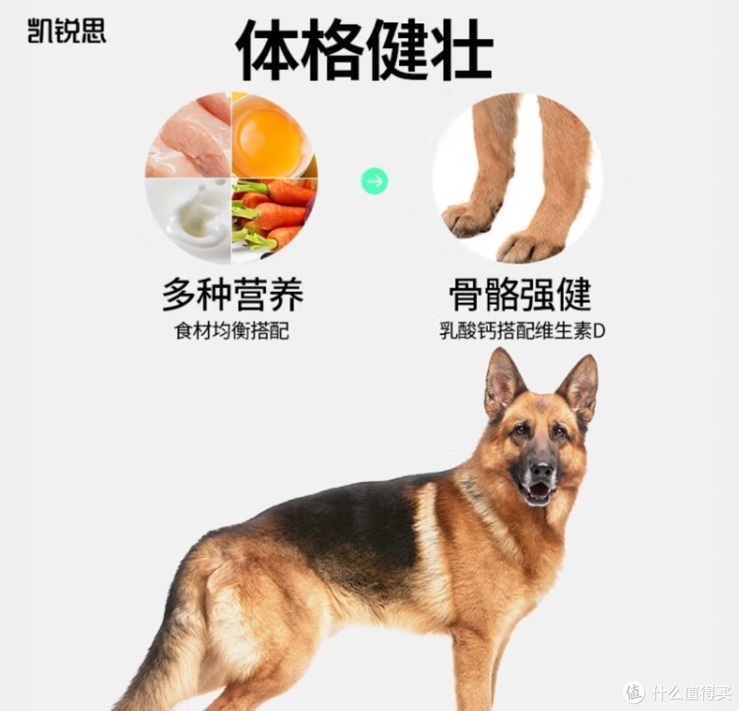 晒小狗会旺:一只年轻而活力四溢的德国牧羊犬