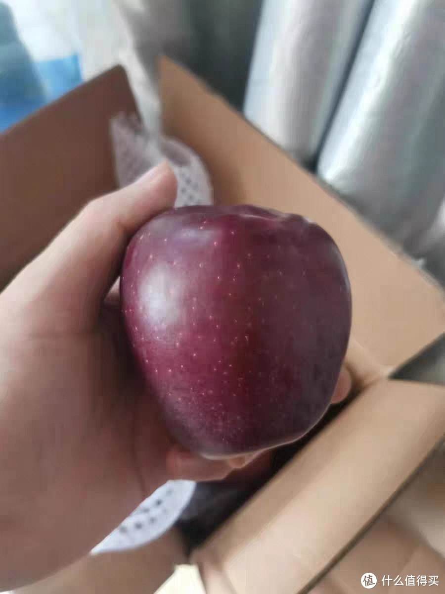 云南昭通黑卡苹果：当季罕见的水果珍品