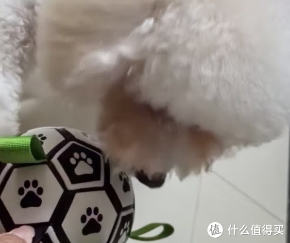 狗玩具耐咬足球