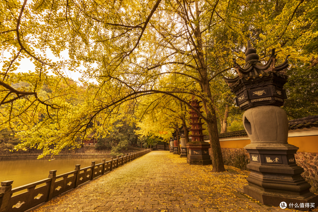 >社区首页>旅游出行>国内旅游>国内门票与活动>文章详情>另外天童寺的