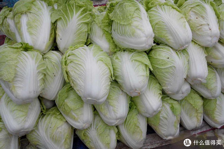 蔬菜市场的“冷风”：大白菜低价滞销，菜农无奈“割肉”