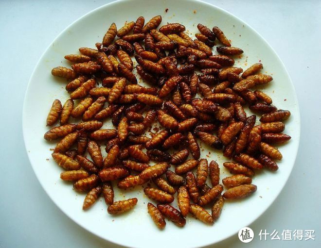 蚕蛹的最佳吃法，四种做法，太美味了！