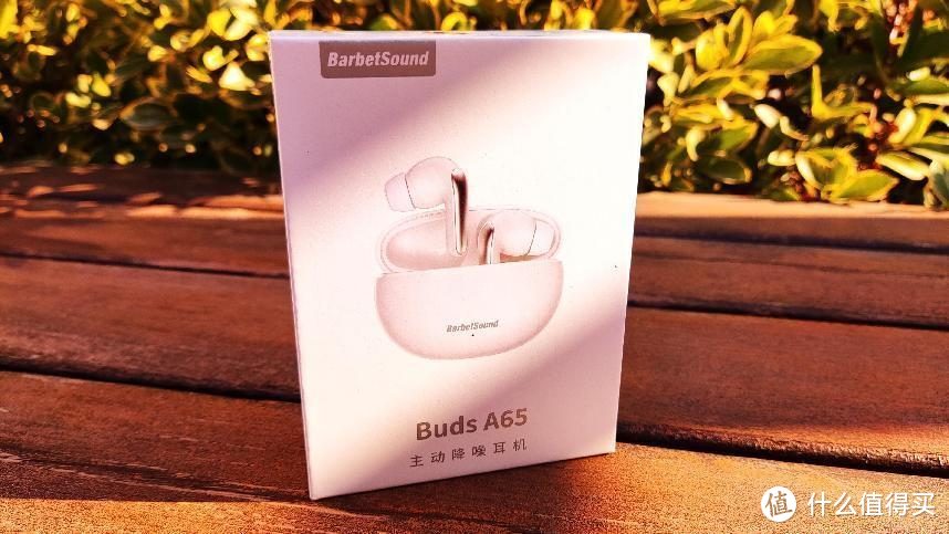 BarbetSound Buds A65蓝牙耳机，百元降噪耳机新卷王？