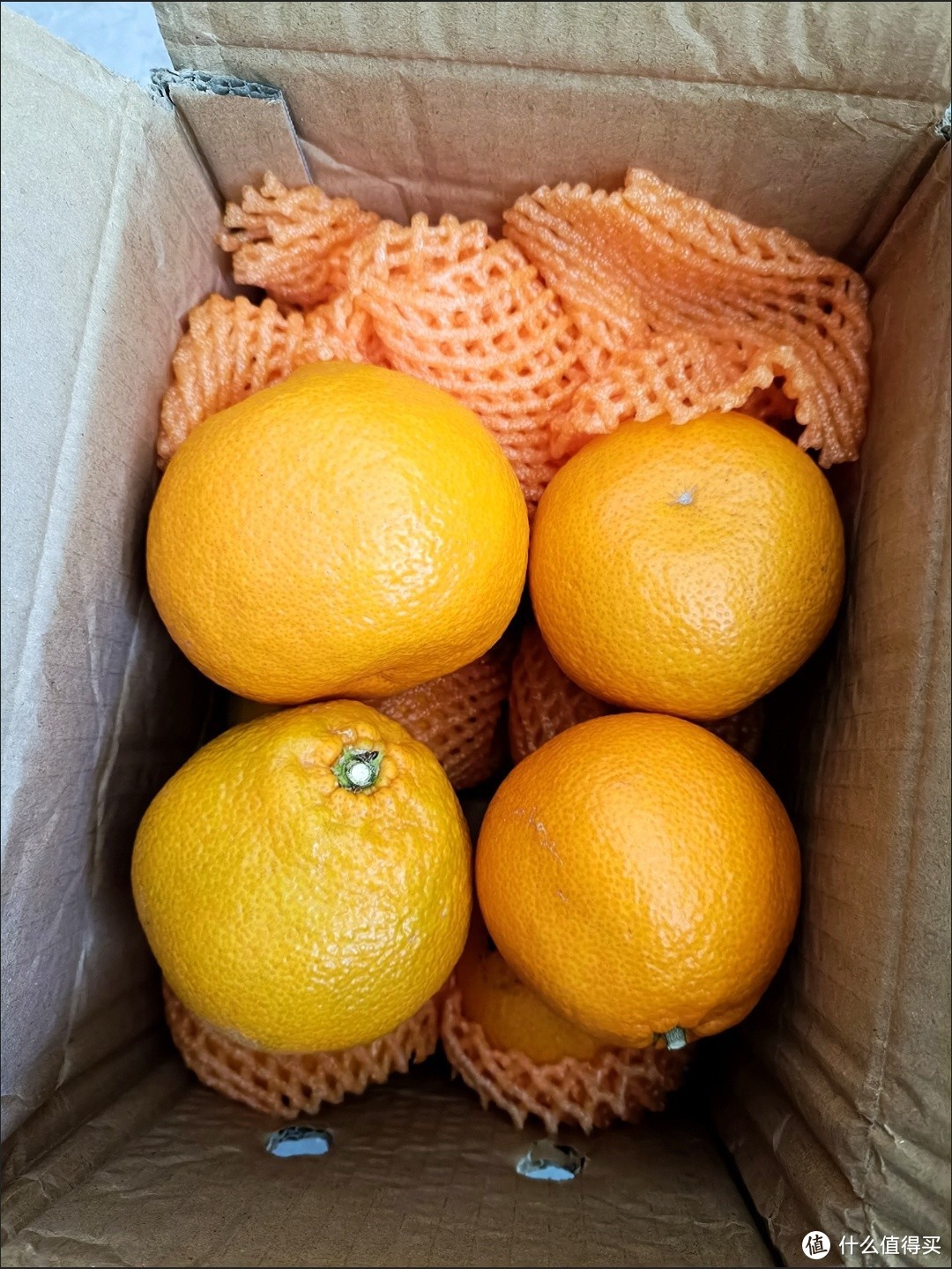 丑橘的魅力，不为人知的美味