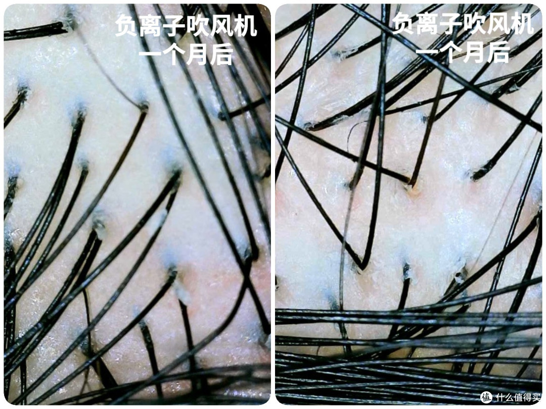 护发吹风机应该怎么选？等离子护发效果到底如何？四款国产热销护发吹风机横评，你想买的都在这里