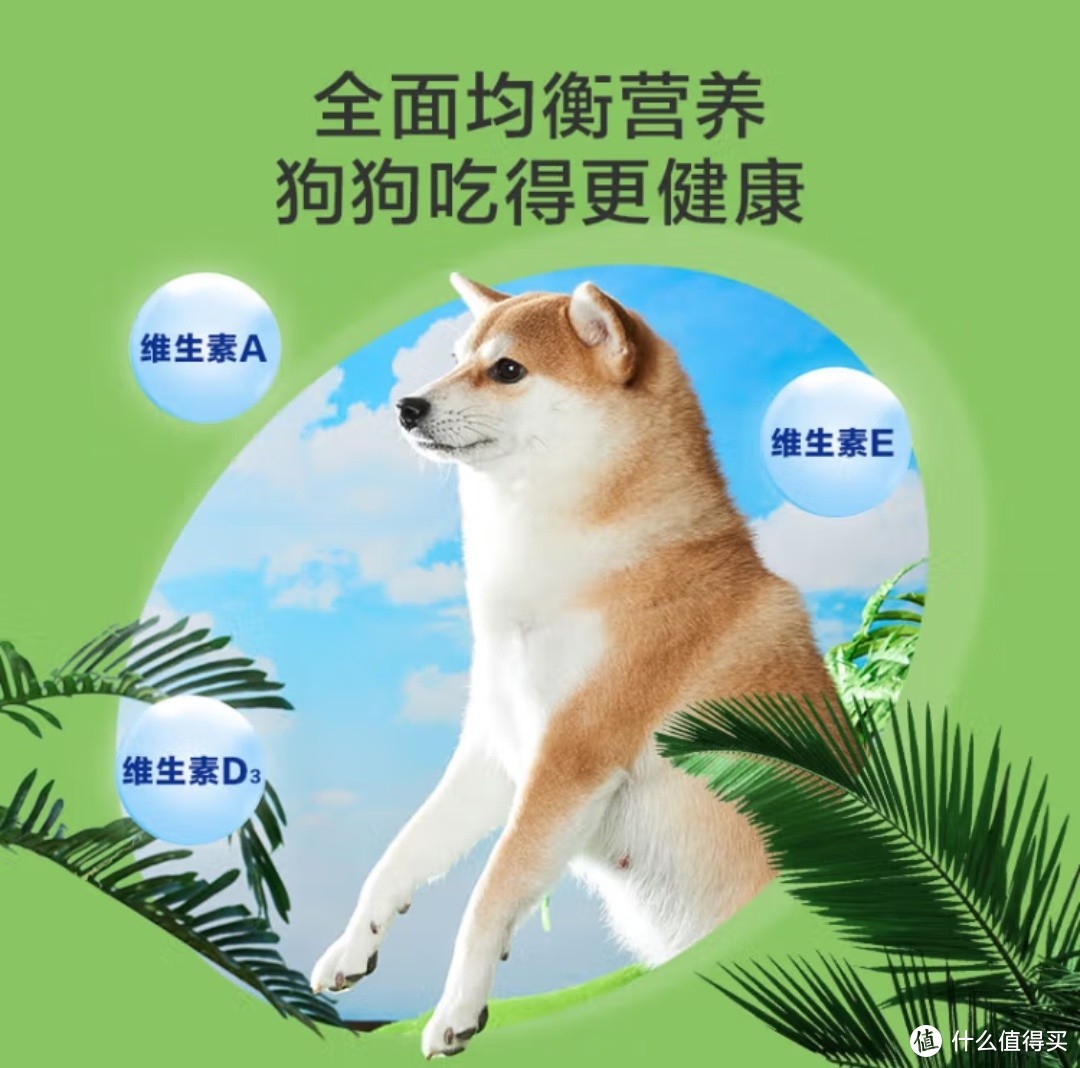 金毛泰迪最爱，宠物零食犬用火腿肠!