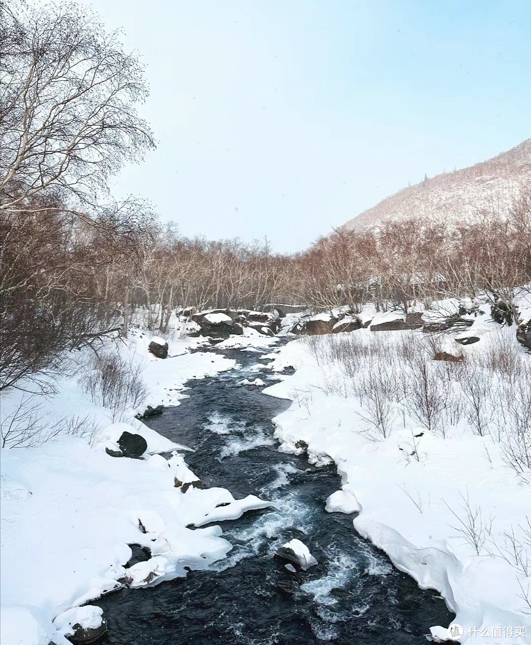 元旦去东北旅游丨3天就打卡长白山延吉雪岭