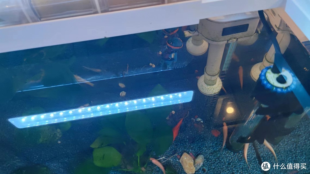 告别拥挤、繁琐的家庭养鱼方式，森森智能一体小鱼缸 HE-480 让你轻松享受鱼儿生活！