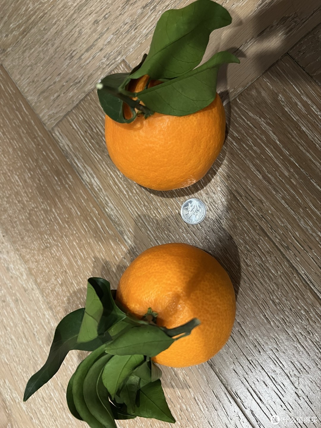 这次的爱媛橙很满意