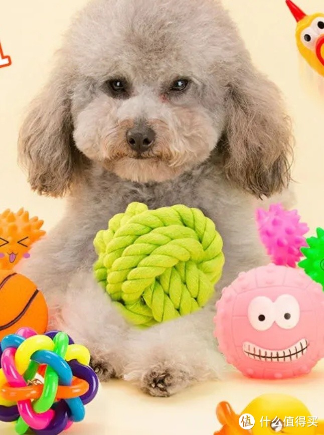 狗狗玩具大集合！选出最适合的一款!