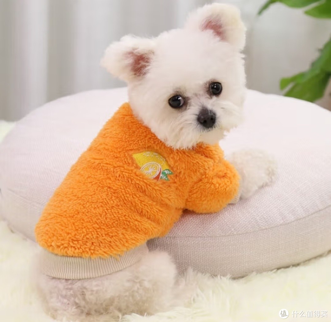 天冷了，帮狗宝宝买件漂漂亮亮的保暖衣服吧！