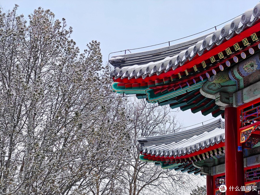 投石问路：用iQOO12手机摄影记录北京谐趣园的雪景