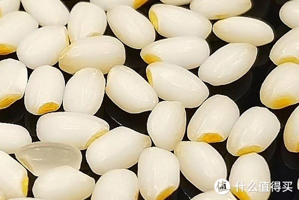 荣获国际大奖的中国米，五常大米要看金胚丫“如玉软香”！
